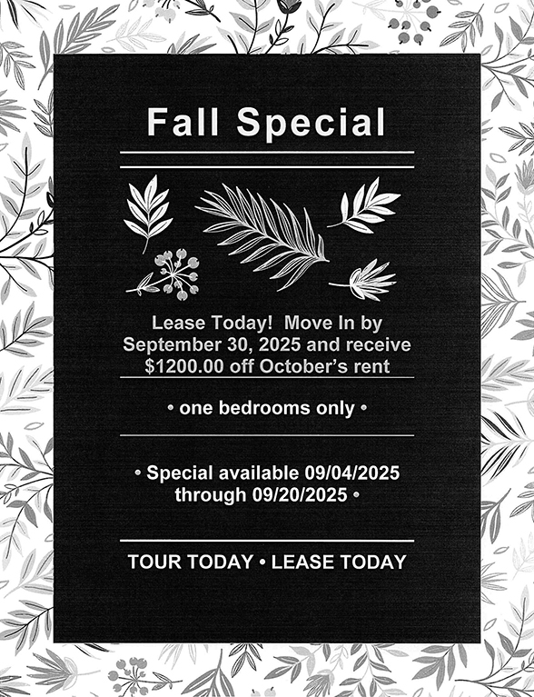 Fall 2025 promo
